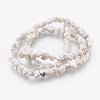 Natural Howlite Chips Beads Strands G365-34-2