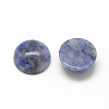 Natural Blue Spot Jasper Cabochons G-R416-8mm-45-2