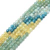 Natural Apatite Beads Strands G-P457-A01-09A-1