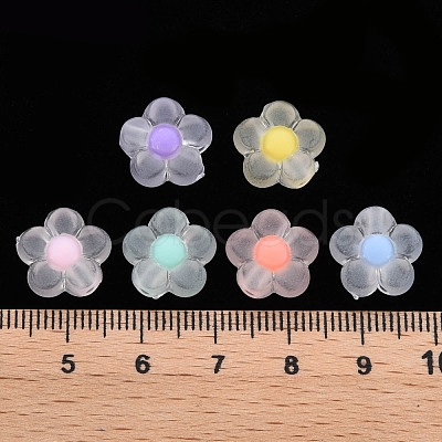 Transparent Acrylic Beads TACR-S152-06C-1