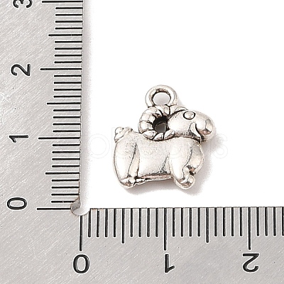 Tibetan Style Alloy Charms TIBE-Q090-11AS-1