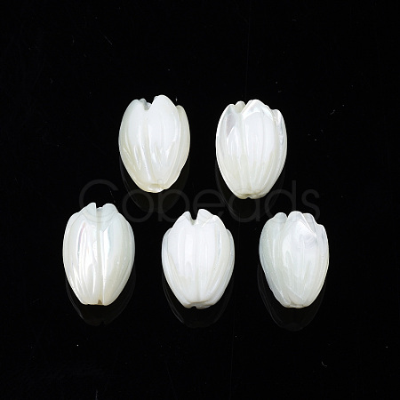 Natural Trochid Shell/Trochus Shell Beads SSHEL-T014-33-1