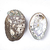 Abalone Shell/Paua Shell Beads SSHEL-S258-38-2