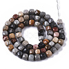 Natural Picture Jasper Beads Strands G-R460-033-2