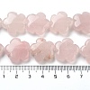 Natural Rose Quartz Beads Strands G-F769-X01-02-5