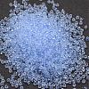 6/0 Glass Seed Beads X-SEED-J013-F6-12-2