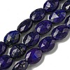 Natural Lapis Lazuli Beads Strands G-P544-D04-01-1