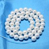 AB Color Plated Shell Pearl Bead Strands BSHE-L011-8mm-C003-3