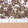 MIYUKI Delica Beads Small X-SEED-J020-DBS0029-4