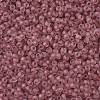 TOHO Round Seed Beads SEED-TR11-0771FM-2