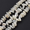 Natural White Moonstone Beads Strands G-D480-A16-03-2