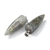 Natural Labradorite Pointed Pendants G-D040-01P-B04-3