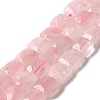 Natural Rose Quartz Beads Strands G-C109-A19-02-1