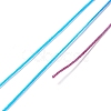 Segment Dyed Polyester Thread NWIR-I013-E-21-3