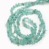 Natural Apatite Chip Beads Strands X-G-L154-23-3