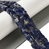 Natural Sodalite Beads Strands G-B078-K01-01-2