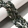 Natural Moss Agate Beads Strands G-L608-A03-01-2