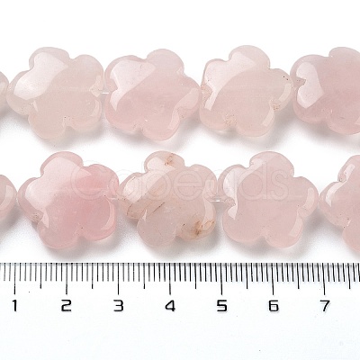 Natural Rose Quartz Beads Strands G-F769-X01-02-1