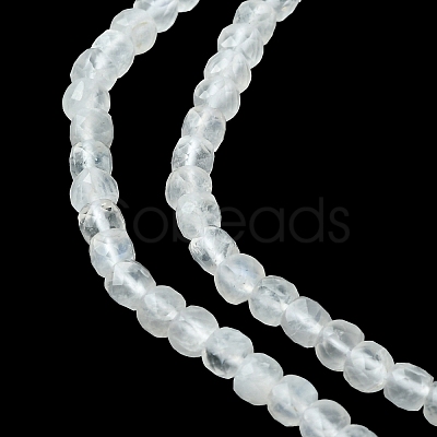 Natural Rainbow Moonstone Beads Strands G-F748-Z01-02-1