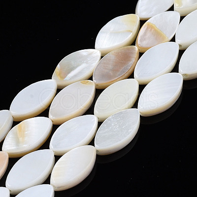 Natural Freshwater Shell Beads Strands SHEL-Q024A-017-1