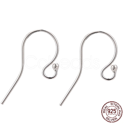 925 Sterling Silver Earring Hooks STER-K167-051C-S-1