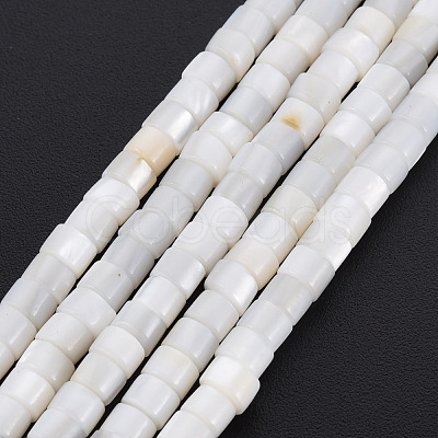 Natural Freshwater Shell Beads Strands SHEL-N027-09-1