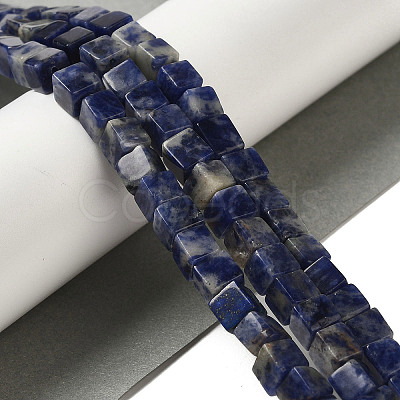 Natural Sodalite Beads Strands G-B078-K01-01-1