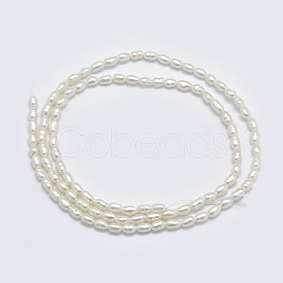 Natural Cultured Freshwater Pearl Beads Strands PEAR-F007-83-1