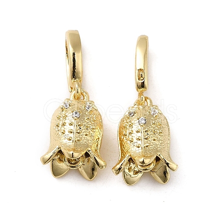 Brass with Cubic Zirconia Charms KK-Q793-04G-1