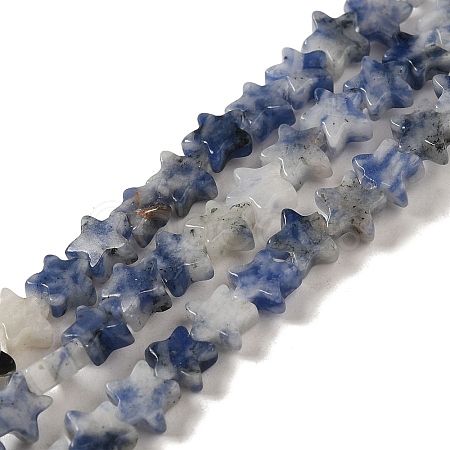 Natural Blue Spot Jasper Beads Strands G-G085-B41-02-1