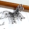 Alloy Claw Hair Clips, Hair Accessories for Women & Girls, Butterfly, Antique Silver, 70x54x40mm