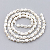 Natural Cultured Freshwater Pearl Beads Strands PEAR-S012-76A-2
