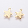 304 Stainless Steel Charms STAS-L234-069G-2