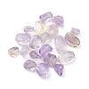 20Pcs Natural Ametrine Beads G-FS0001-60-1