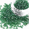 (Repacking Service Available) Glass Seed Beads SEED-C015-3mm-107-1