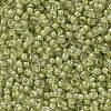 MIYUKI Round Rocailles Beads SEED-JP0010-RR0378-2