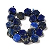 Natural Lapis Lazuli Beads Strands G-P534-A12-01-3