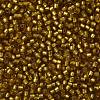 TOHO Round Seed Beads SEED-JPTR11-0022CF-2