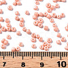 Glass Seed Beads SEED-S060-A-F414-5