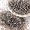 6/0 Glass Seed Beads X-SEED-J012-F6-528-1