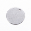 304 Stainless Steel Charms STAS-D445-059-2