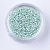 Pearlized Cylinder Seed Beads SEED-Q036-02A-E04-2