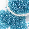 6/0 Glass Seed Beads X-SEED-J012-F6-119-1