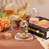  4 Sets 2 Style Transparent Glass Dome Jar Cloche Display Cases AJEW-NB0005-26-5