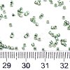 11/0 Grade A Glass Seed Beads X-SEED-S030-1217-4