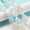 Opalite Beads Strands G-P528-L22-01-2