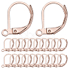 SUNNYCLUE 60Pcs 304 Stainless Steel Leverback Earring Findings STAS-SC0006-44-1