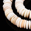 Natural Freshwater Shell Beads Strands SSHEL-T017-02-3