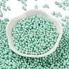 Glass Seed Beads SEED-L011-04A-12-2