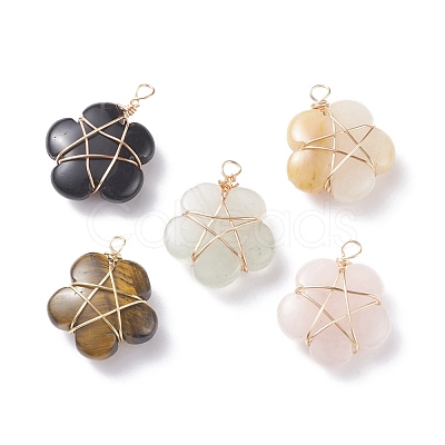 Natural Gemstone Pendants PALLOY-JF01415-01-1